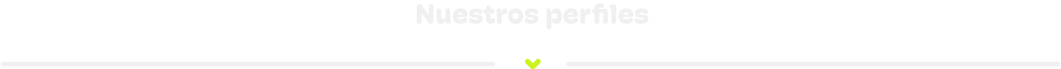 Nuestros Perfiles